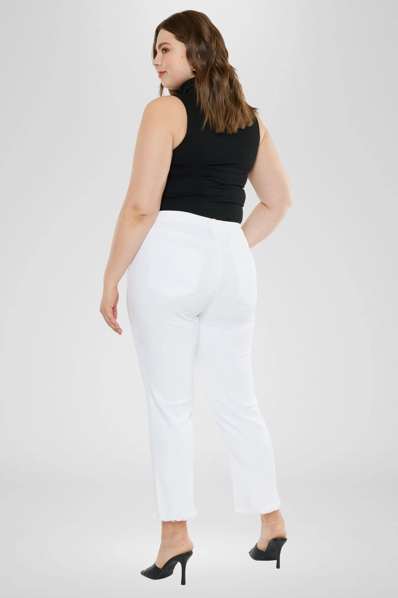 Rita High Rise Slim Straight Jeans (Plus Size)