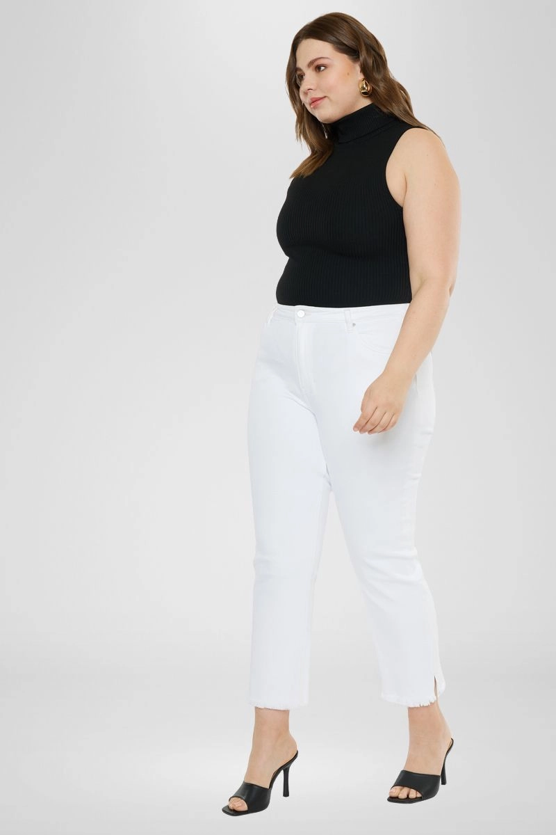 Rita High Rise Slim Straight Jeans (Plus Size)