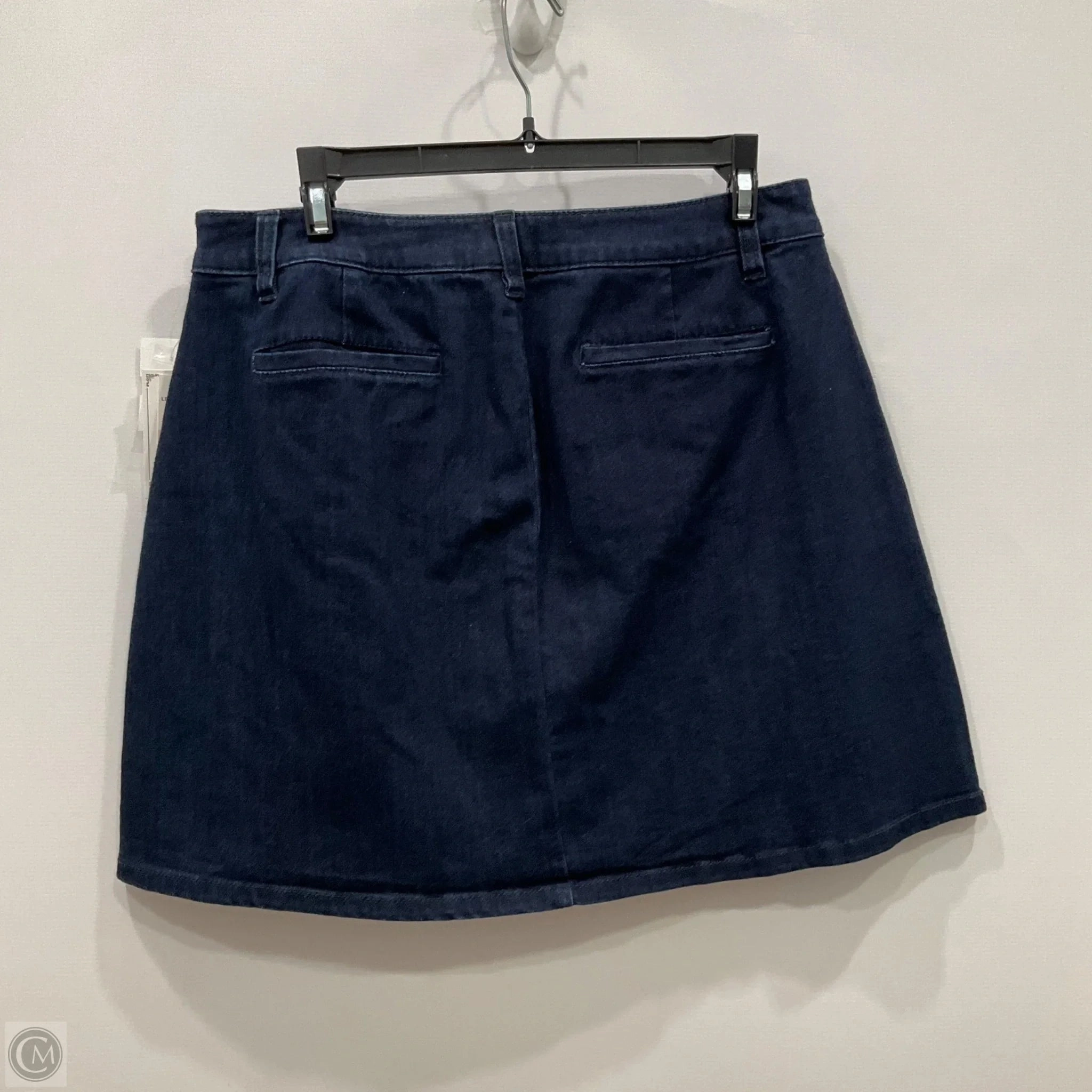 Skirt Mini & Short By Maison Jules In Blue, Size: 10