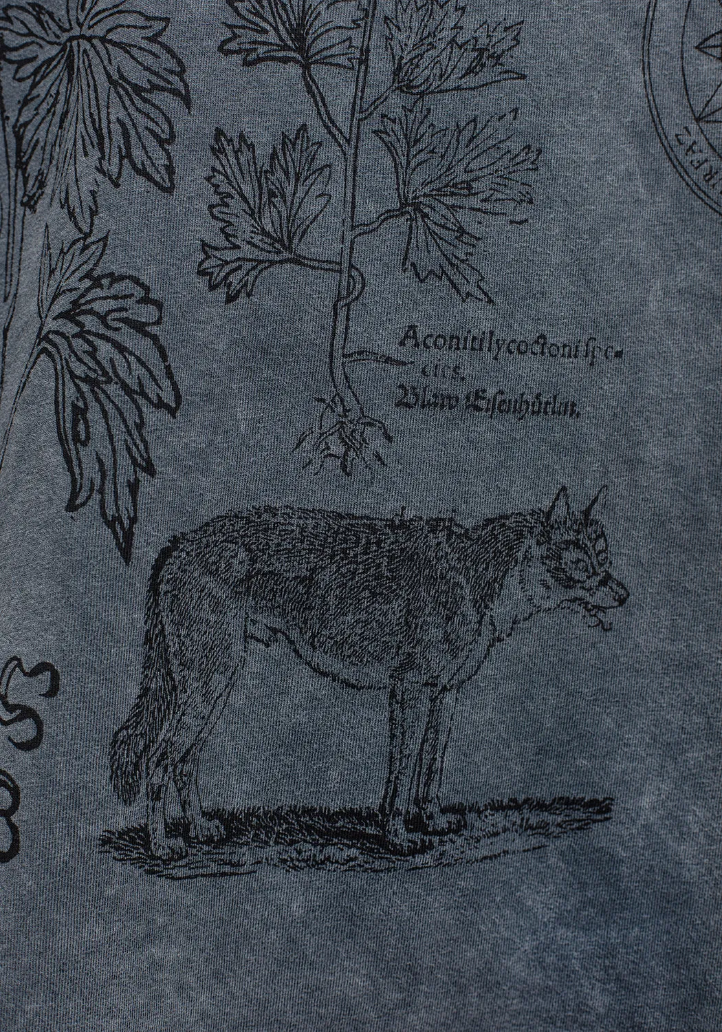 Wolfsbane Distressed Tee